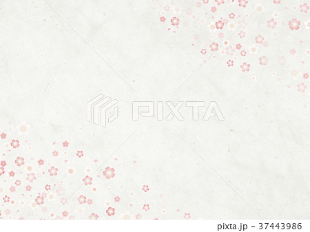 和モダン 白和紙 桜吹雪 和モダン 白和紙 桜吹雪 37443986