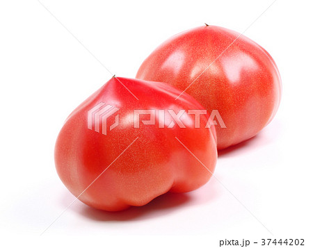 ファーストトマト（愛知県産） 37444202