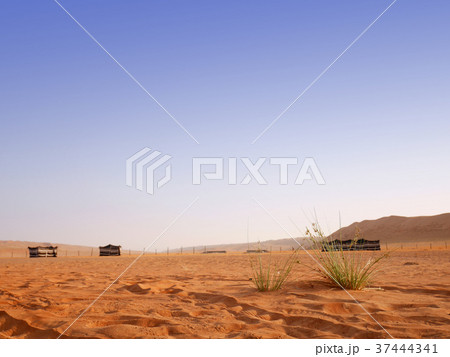 Desert camp at the Wahiba desert, Oman 37444341