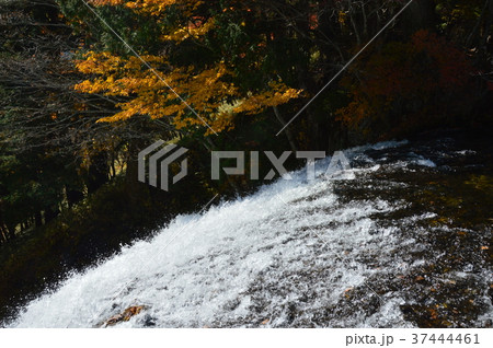 激流(湯滝・奥日光/栃木県日光市) 激流(湯滝・奥日光/栃木県日光市) 37444461