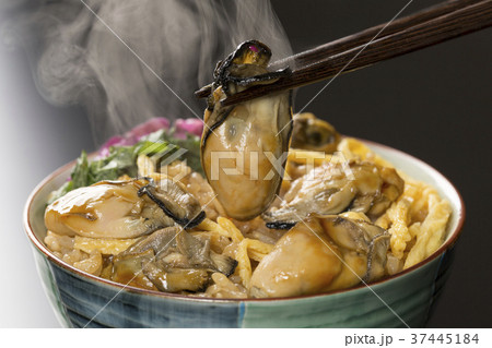 かきめし 37445184