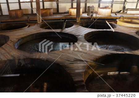 甘露醤油発酵 37445220