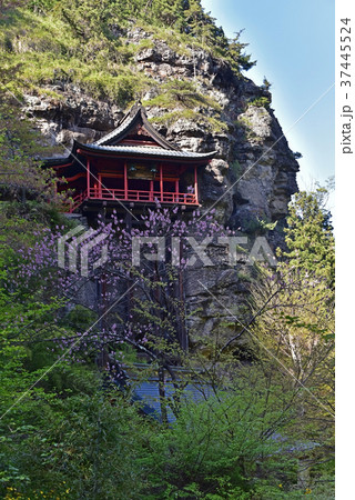 釈尊寺(布引観音)の観音堂 釈尊寺(布引観音)の観音堂 37445524