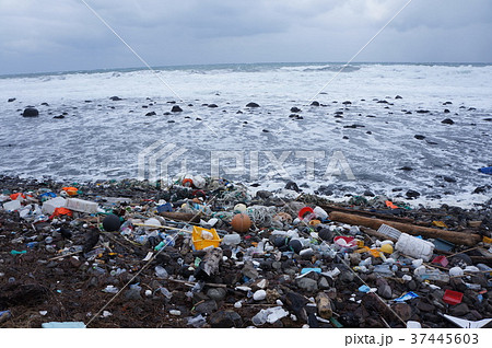 日本海ゴミの写真素材