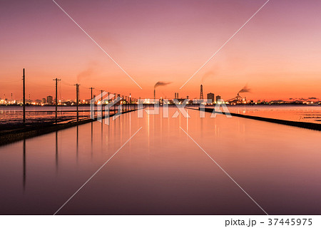 江川海岸 夕焼け 江川海岸 夕焼け 37445975