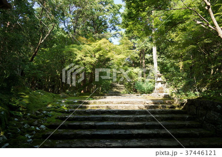高知県の竹林寺参道 37446121