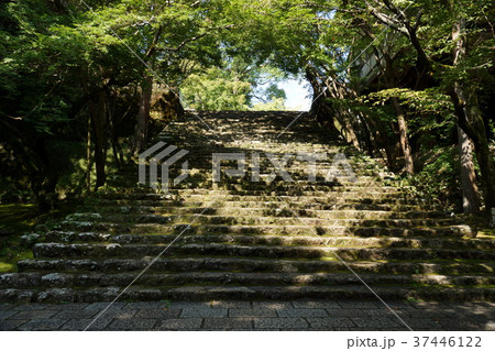 高知県の竹林寺参道 37446122