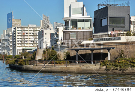 下町散歩：芭蕉庵史跡展望庭園と隅田川 37446394
