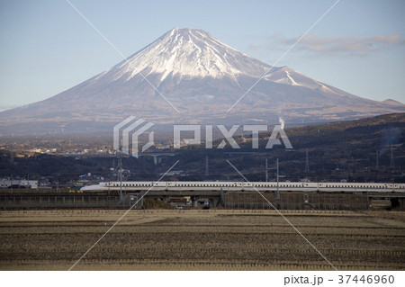 静岡県富士市 富士山と東海道新幹線 静岡県富士市 富士山と東海道新幹線 37446960