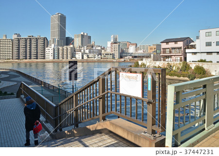 下町散歩:隅田川河畔 下町散歩:隅田川河畔 37447231