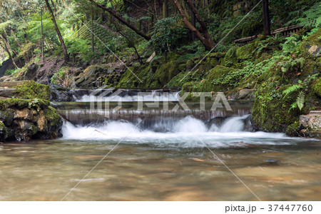 貴船川の清流風景の写真素材