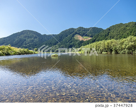 三面川の流れ 三面川の流れ 37447928