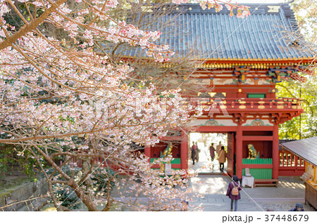 久能山東照宮の楼門 久能山東照宮の楼門 37448679