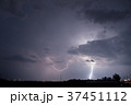 雷 37451112