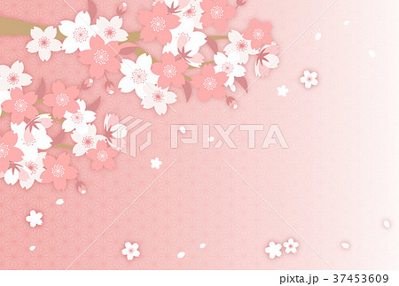 桜の和風デザインのイラスト素材