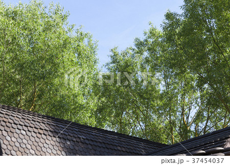 roof building 37454037