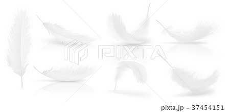 Vector realistic 3d set of white bird feathers 37454151