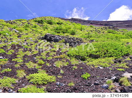 富士宮口六合目からの夏の風景-0806 富士宮口六合目からの夏の風景-0806 37454196