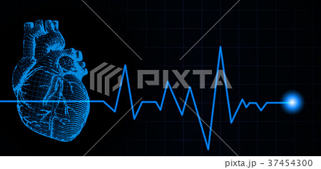 Human heart illustration with heart rate pulse 37454300