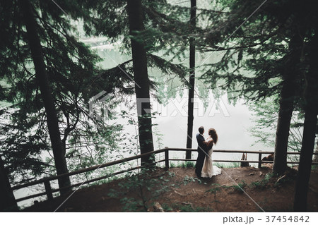 Romantic, fairytale, happy newlywed couple hugging Romantic, fairytale, happy newlywed couple hugging 37454842