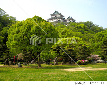和歌山城　和歌山市 37455014