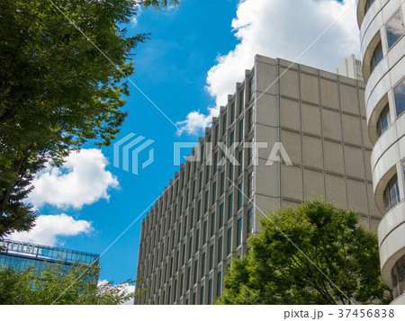 名古屋商工会議所 37456838