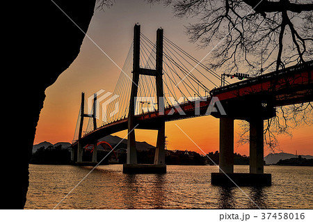 三千浦大橋 橋 風景 37458016