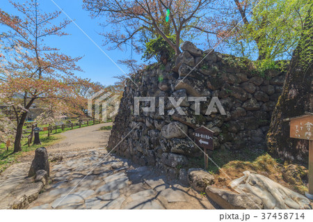 春の懐古園の風景 37458714