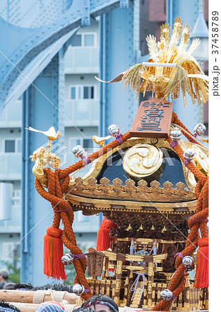 深川八幡宮例大祭神輿 深川八幡宮例大祭神輿 37458789