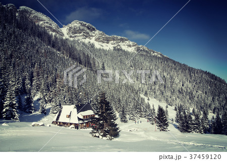 Snowy view in Tatra Mountains 37459120