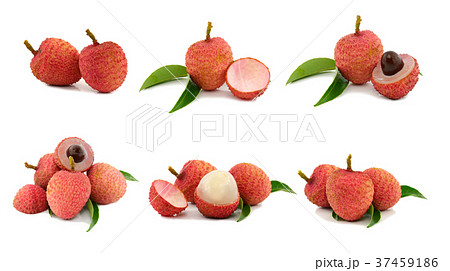 collection of 6 lychee images 37459186