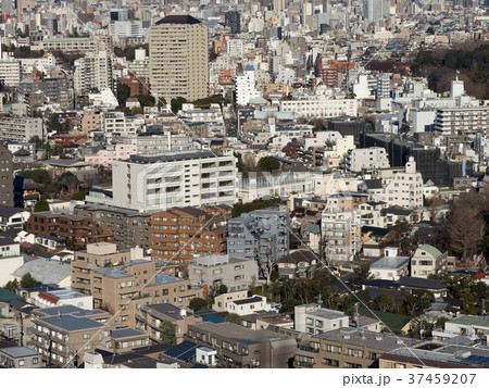 東京の都市景観 37459207