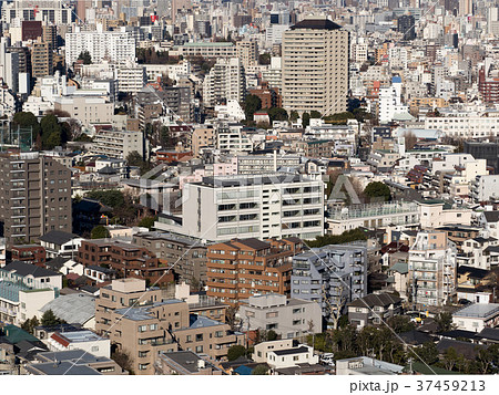 東京の都市景観 東京の都市景観 37459213