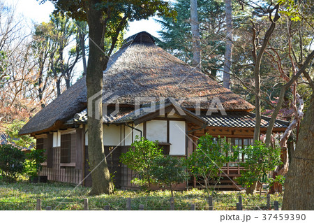 世田谷散歩:蘆花恒春園 秋水書院 世田谷散歩:蘆花恒春園 秋水書院 37459390
