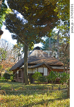 世田谷散歩:蘆花恒春園 秋水書院 世田谷散歩:蘆花恒春園 秋水書院 37459391