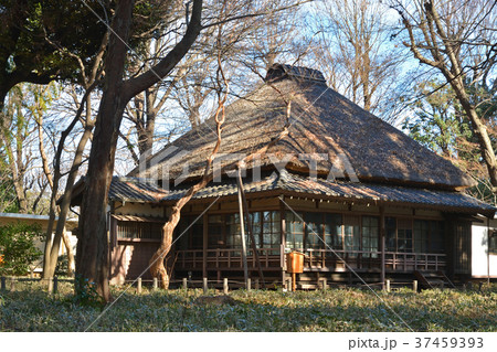 世田谷散歩:蘆花恒春園 秋水書院 世田谷散歩:蘆花恒春園 秋水書院 37459393
