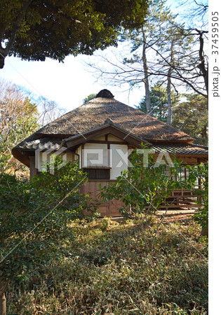 世田谷散歩:蘆花恒春園 秋水書院 世田谷散歩:蘆花恒春園 秋水書院 37459505