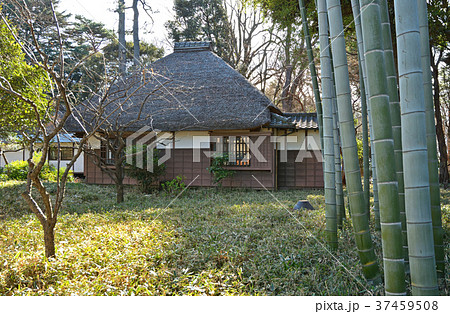 世田谷散歩:蘆花恒春園 秋水書院 世田谷散歩:蘆花恒春園 秋水書院 37459508