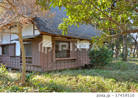 世田谷散歩:蘆花恒春園 秋水書院 世田谷散歩:蘆花恒春園 秋水書院 37459510