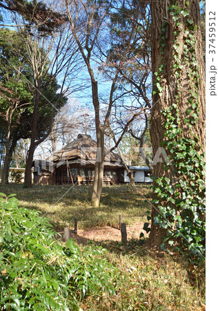 世田谷散歩:蘆花恒春園 秋水書院 世田谷散歩:蘆花恒春園 秋水書院 37459512