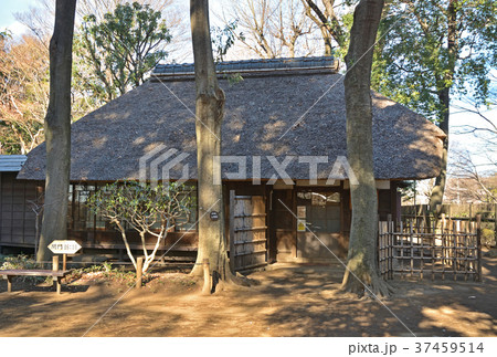 世田谷散歩:蘆花恒春園 母屋 世田谷散歩:蘆花恒春園 母屋 37459514