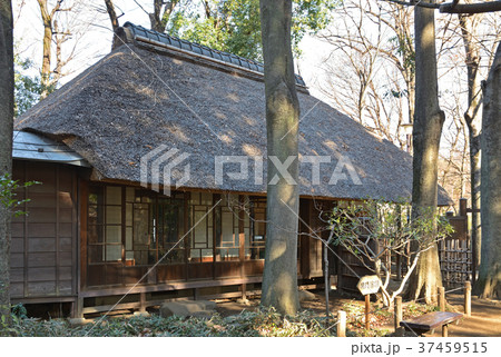 世田谷散歩:蘆花恒春園 母屋 世田谷散歩:蘆花恒春園 母屋 37459515