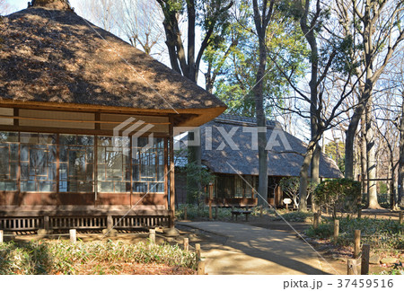 世田谷散歩：蘆花恒春園　梅花書屋と母屋 37459516