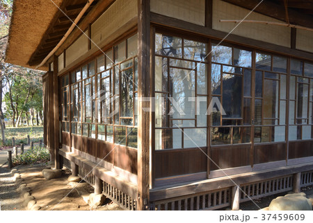 世田谷散歩:蘆花恒春園 梅花書屋 世田谷散歩:蘆花恒春園 梅花書屋 37459609