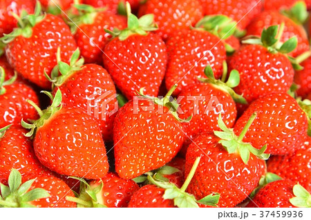 イチゴ　 37459936