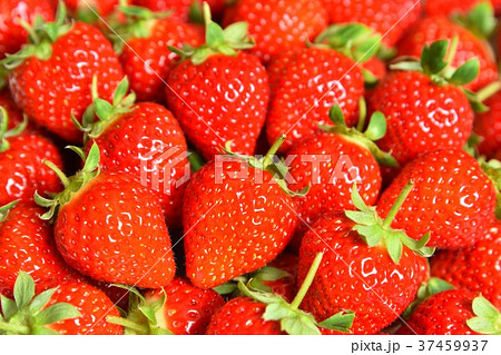 イチゴ　 37459937