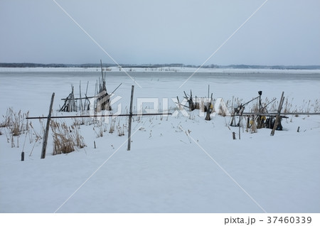 冬の小川原湖 37460339