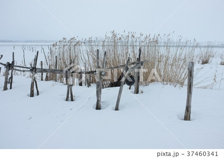 冬の小川原湖 37460341