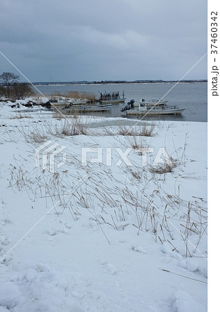 冬の小川原湖 37460342