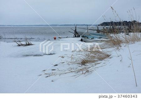 冬の小川原湖 37460343